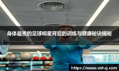 金年会金字招牌