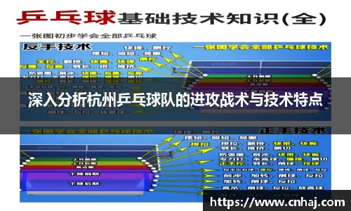 深入分析杭州乒乓球队的进攻战术与技术特点
